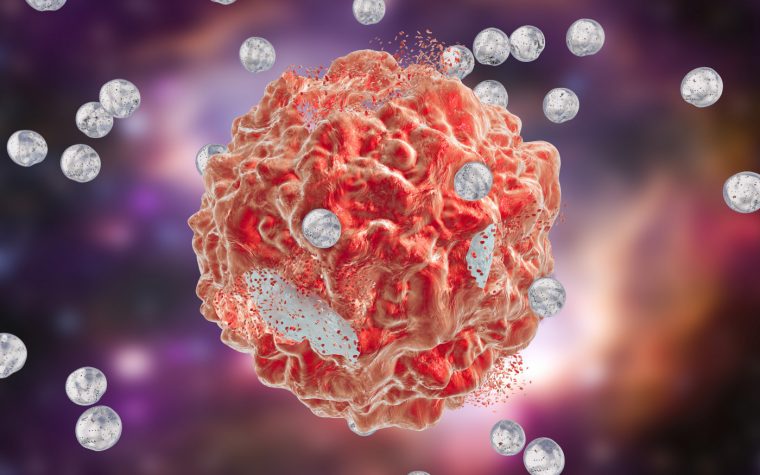 Nami targeted therapy for ovarian cancer